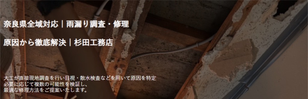 雨漏り調査
