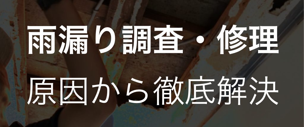 雨漏り調査